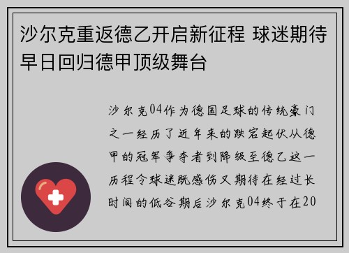 沙尔克重返德乙开启新征程 球迷期待早日回归德甲顶级舞台