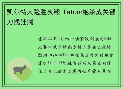 凯尔特人险胜灰熊 Tatum绝杀成关键力挽狂澜